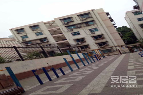 黄河机器制造厂九街坊小区居住体验与市场观察 优缺点分析及周边经纪评价