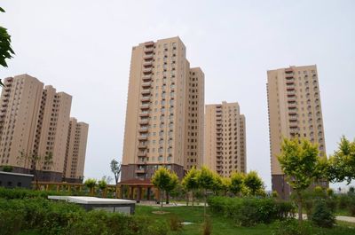 如何查询房地产经纪人员的从业资质？